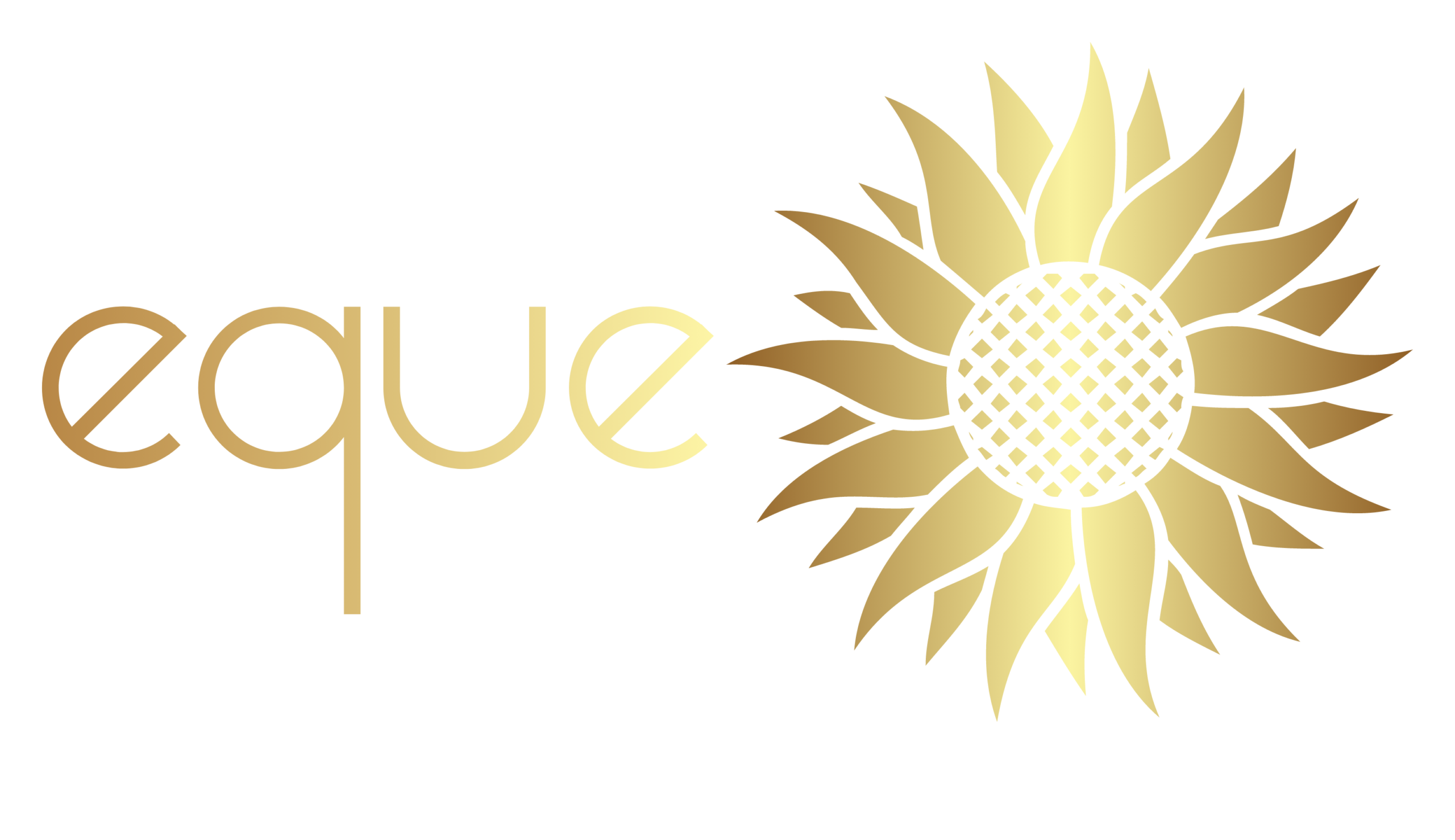 Equesun partial logo